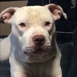 Meet your Posher, Tom